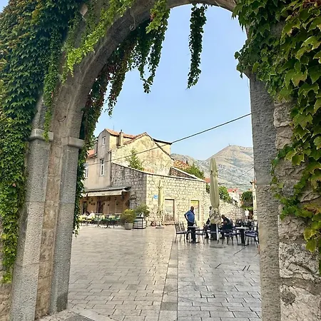 S&a * Τρέμπινιε